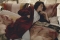 Vandyck badjas Beaumont burgundy en dekbedovertrek Blurred lines multi sfeer