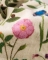Essenza badgoed Marigold vanilla detail