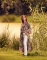 Essenza kimono lang Juliet Roselina surf green sfeer