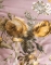 Essenza dekbedovertrek Florean blush detail